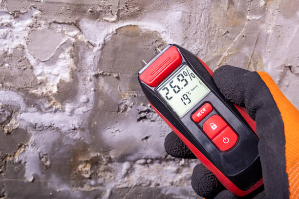 Best Office Mold Removal Services  in , OR