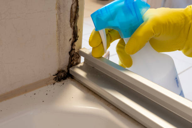 Best Commercial Mold Removal  in , OR